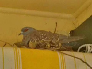 FB_IMG_15378136033558547