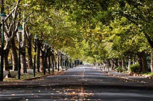 FB_IMG_15877327222437389