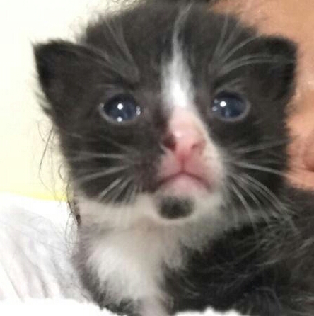 IMG-20200911-WA0003-1